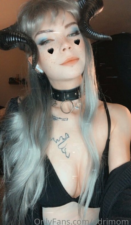 adrimom étoile parfaite galeries