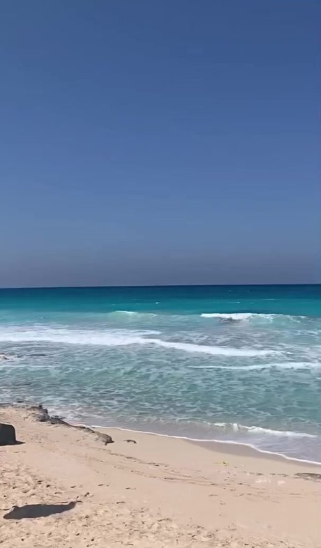 Emina Jahi actrice sexy img