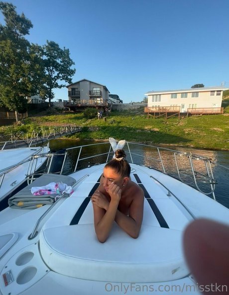 misstkn art étoile images