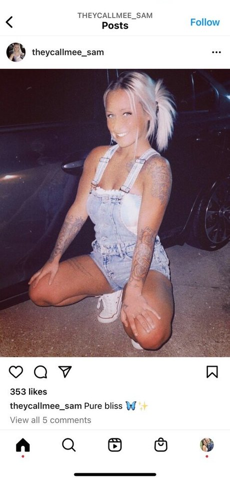 samistory HDモデル 画像