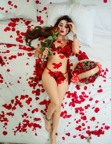 Ankita Dave ポルノモデル 画像