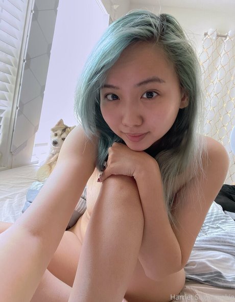 freesugarcookies セックススター 画像