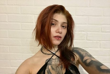 LittlePolly102 ポルノスター アート ギャラリー