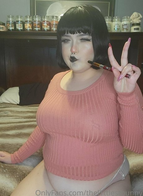 thel1ttlestbunny 最高のモデル 写真