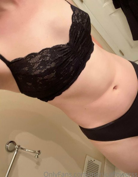 monicaflowerss 美しいスター 写真
