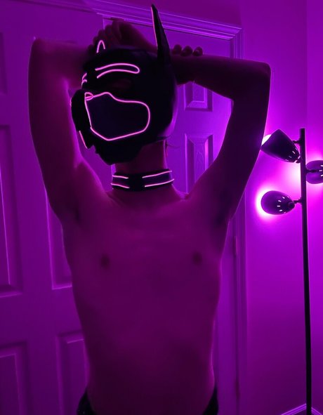 pup haze 完璧なモデル 写真