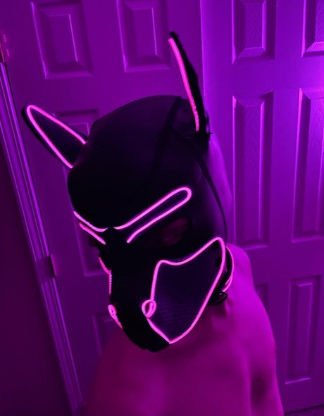 pup haze 完璧なモデル 写真