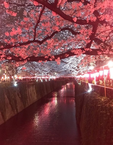 yacchi トップモデル 写真