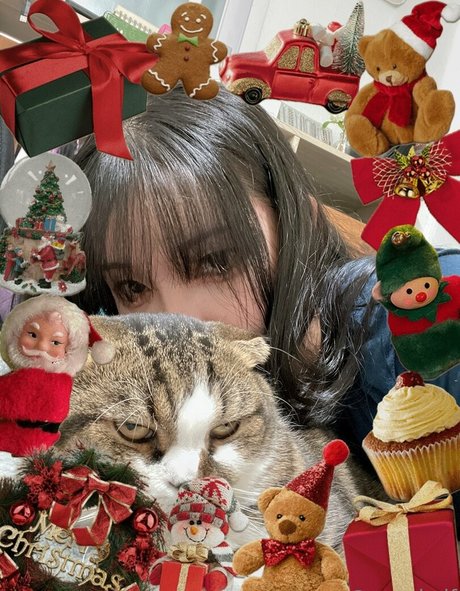 anad df 完璧なスター 写真