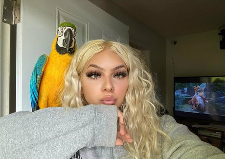 itsbabieh ポルノスター 写真