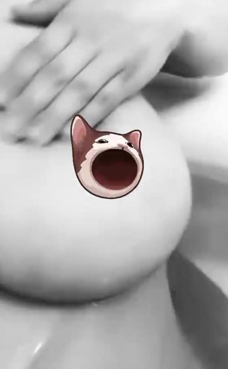 kitty ketttt 素敵な女優 画像