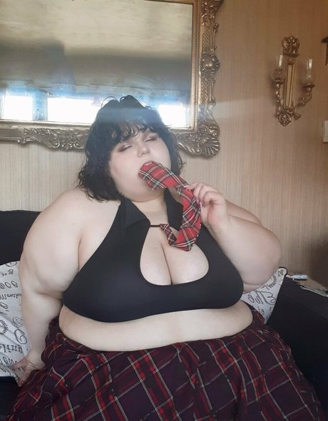 thebbwarabellarose 限定モデル 写真