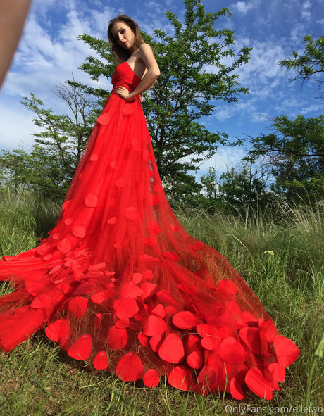 Elle Tan アダルト女優 写真