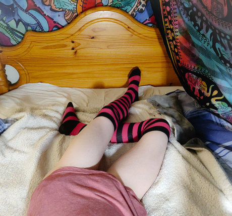 phox in socks profile image