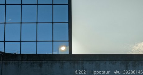 hippotaur ポルノモデル 写真