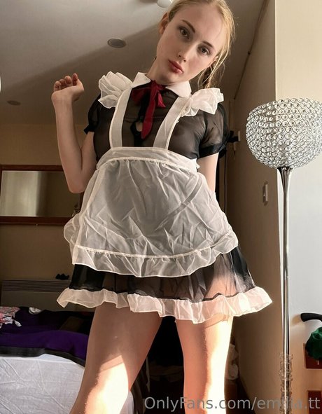 emilia tt HDモデル 写真