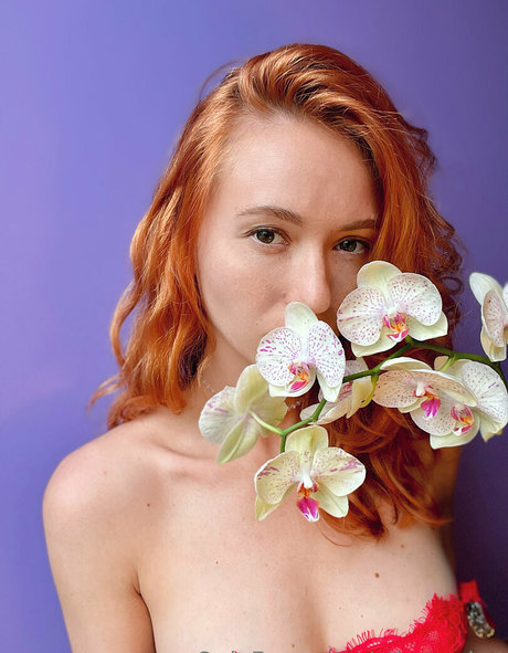 alicerocket アダルト女優 写真
