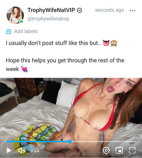 TrophyWifeNat profile image