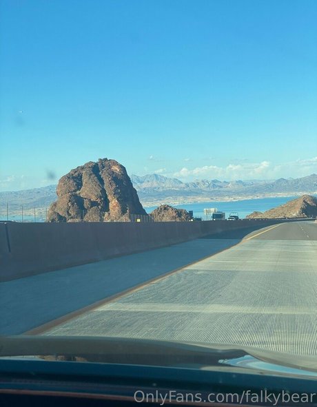 falkybear profile image