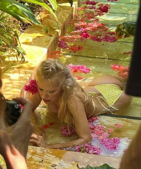 Pamela Anderson セクシーなスター ギャラリー