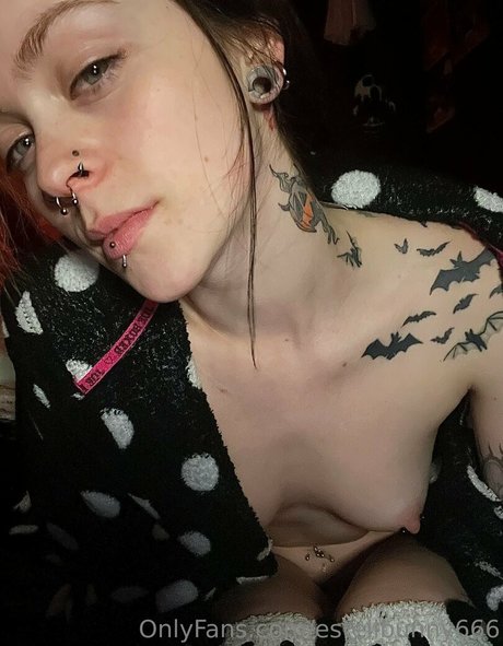 estellbunny666 アート女優 画像