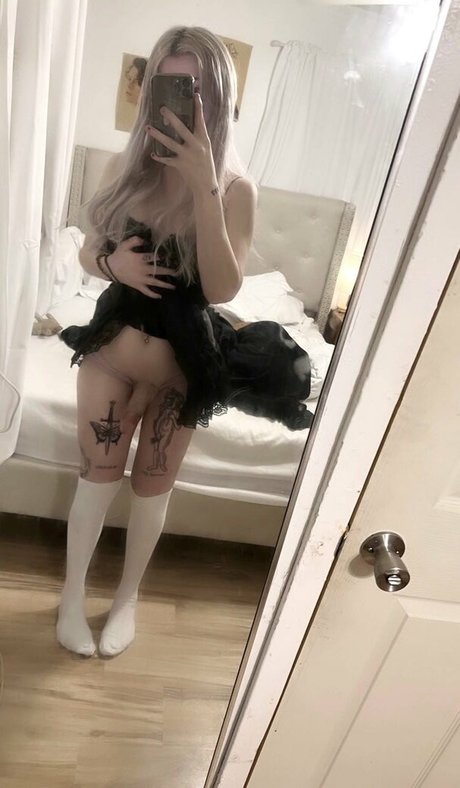 knotcis トップスター 写真