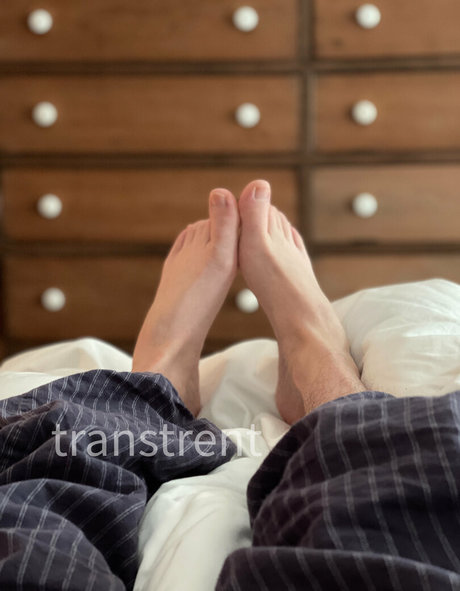 transtrentfree 最高のスター 写真