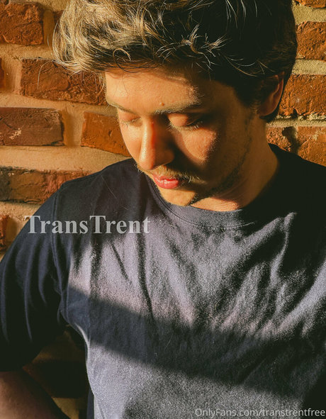 transtrentfree アートスター 写真