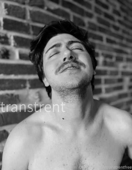 transtrentfree かわいいスター 写真