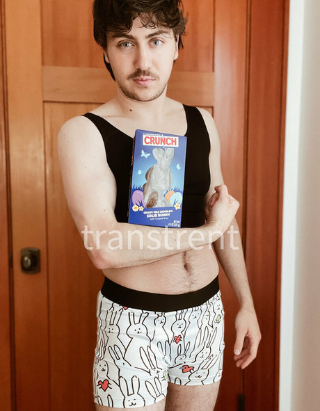 transtrentfree 限定スター ギャラリー
