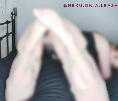 neku on a leash ppv 素敵なポルノスター ギャラリー