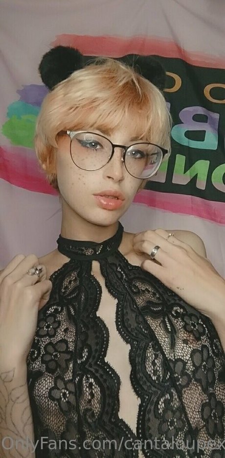 cantaloupexo エロティックなポルノスター 画像