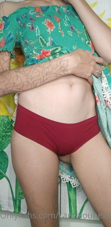 cantaloupexo セクシーなスター 写真
