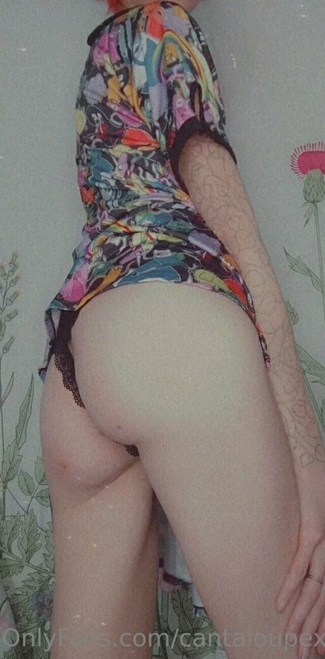 cantaloupexo ポルノ女優 写真
