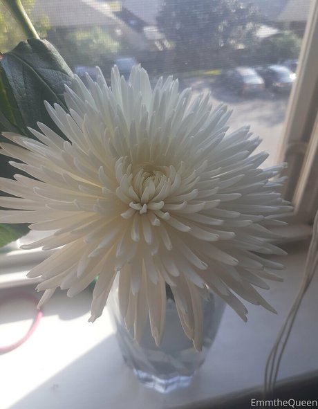 emmthequeen セックスモデル アーカイブ