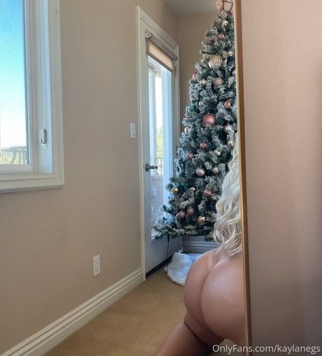 Kayla Negrino ホット女優 写真