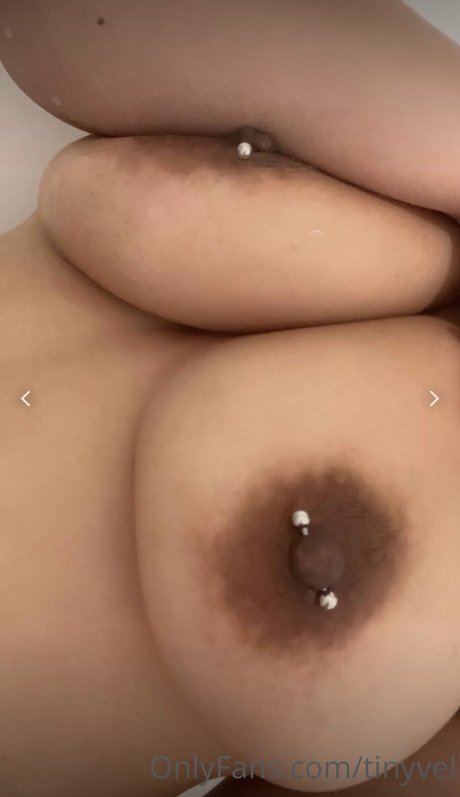 Tinyvel ポルノスター 画像