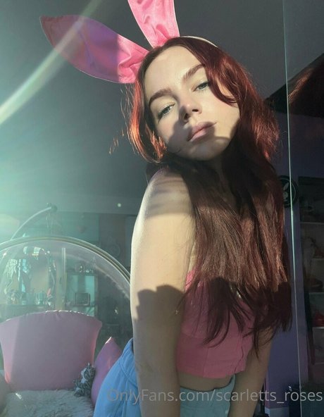 haleysvision profile image