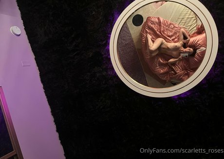 haleysvision アートモデル アーカイブ
