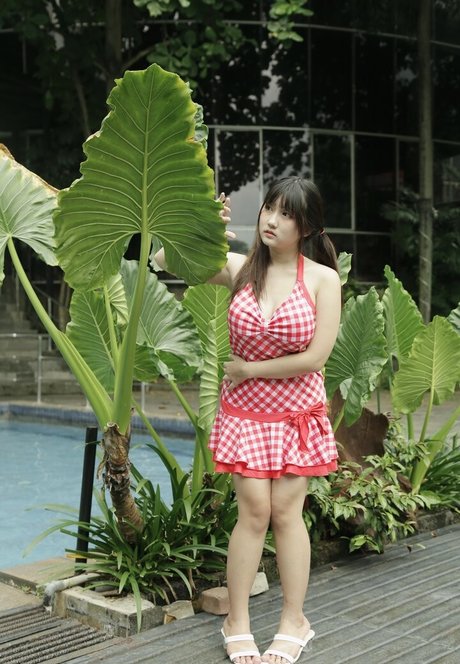 Dea Marella HDモデル 写真