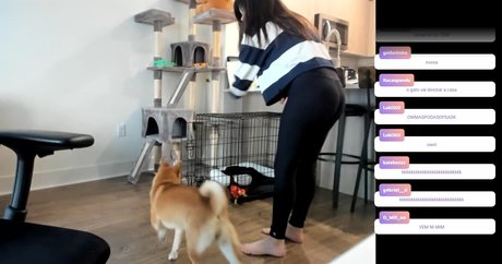 Julia Nakamura ポルノモデル 画像