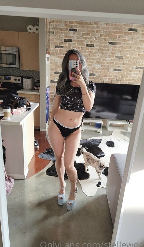 Stella Chu スター xxx 画像