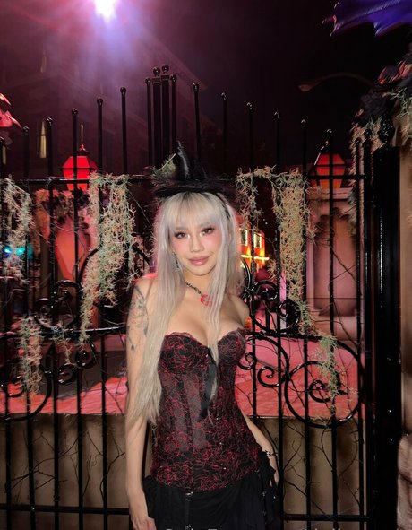 dollaryaoo 美しいスター 写真