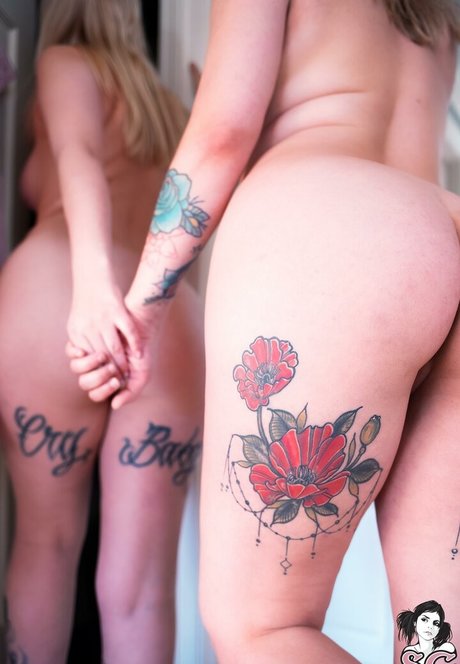 Filicity アートスター 画像