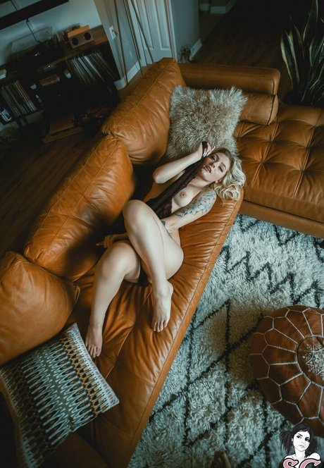 Fern Suicide アートスター 写真