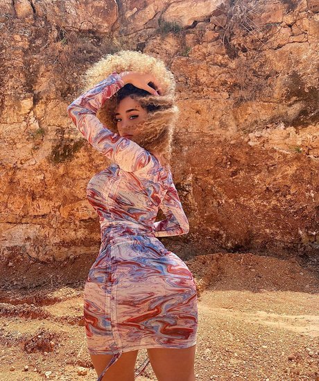 Dana Curly HDモデル 写真