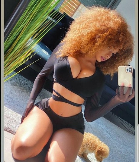 Dana Curly かわいいスター 画像