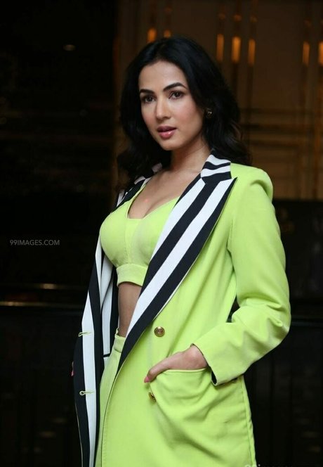 Sonal Chauhan ポルノスター ヌード 写真