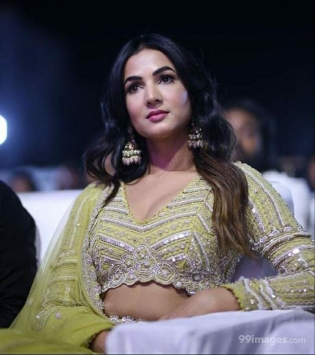 Sonal Chauhan ヌードスター 写真