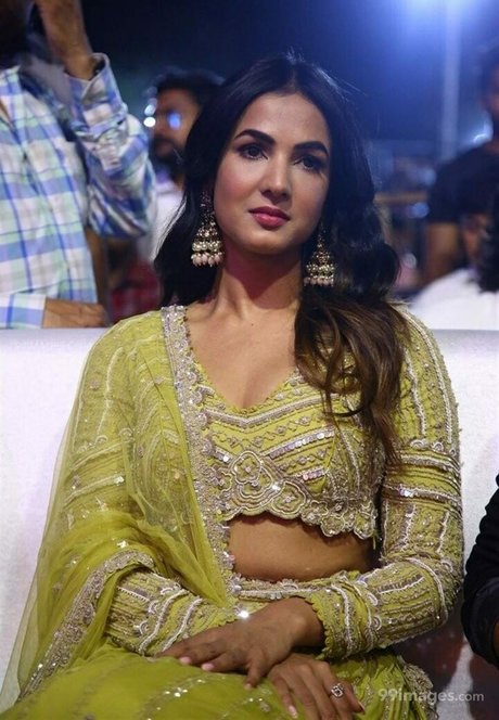 Sonal Chauhan 女優 写真